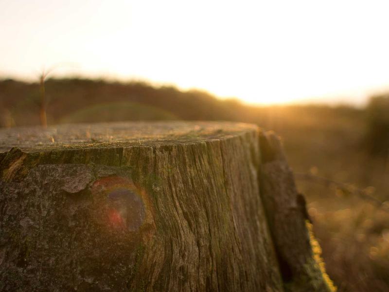 sudoku unique solution screenshot 4